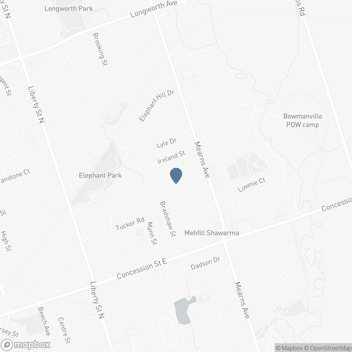 117 APPLE BLOSSOM BOULEVARD, Clarington, Ontario L1C 4T8